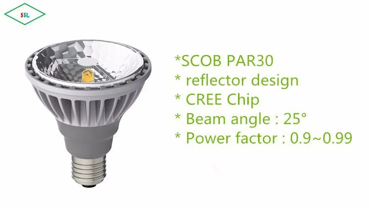 CREE LED PAR30 15W-03_