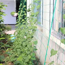 Нейлон решетчатая сетка многоразовые расти забор 1,8*1,8 м Orchard Noylon 1,8*1,8 сад зеленый завод сетки для автомобиля Виноградная лоза поддержка