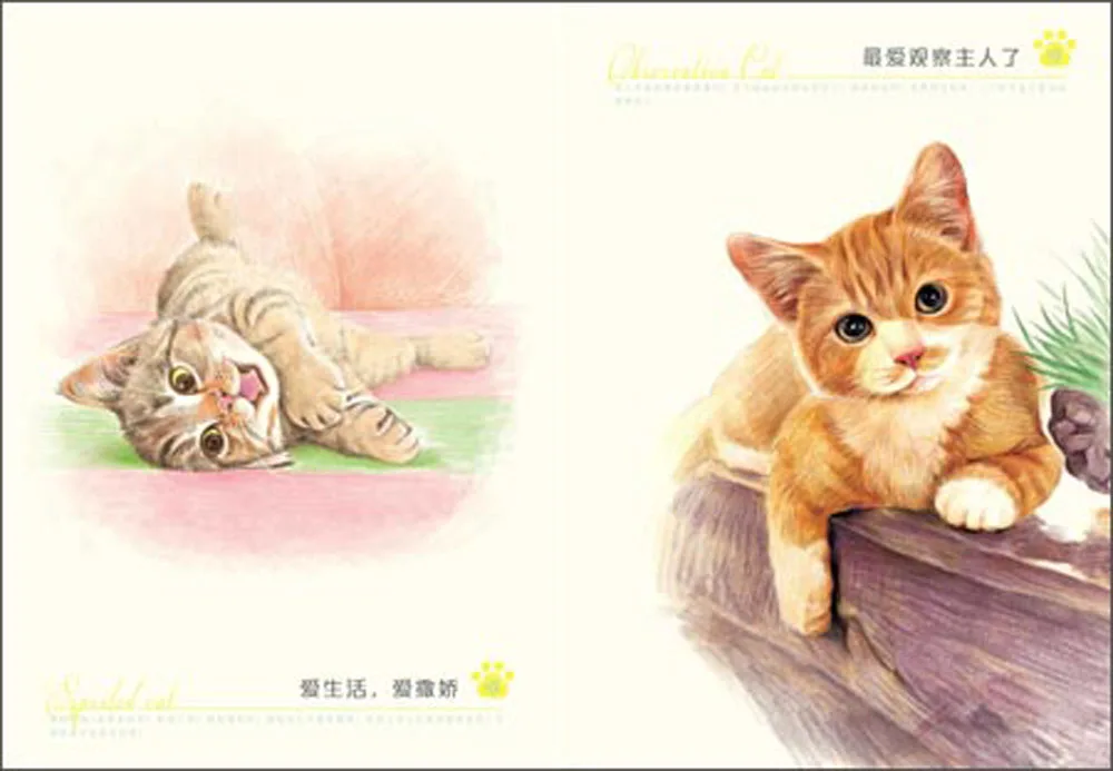 Китайский Цвет карандашный рисунок животных кошка Книги по искусству живопись книга учебник Книги по искусству книги