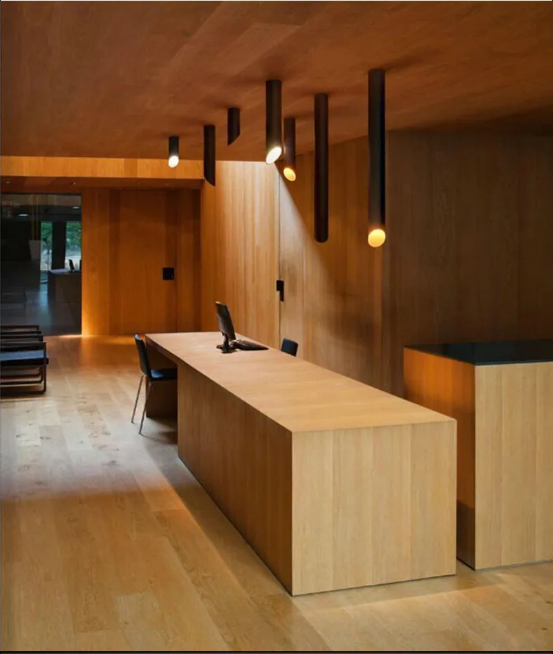 Contemporary Black Cylinder Aluminum LED Ceiling Lights Exhibition Office Dome Light Commercial Light8