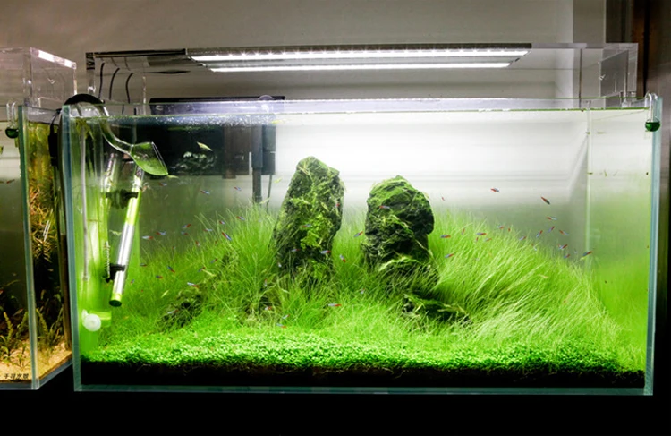 CHIHIROS AquaSky Style ADA 1:1 акриловая стойка серии E для растений и аквариумов с
