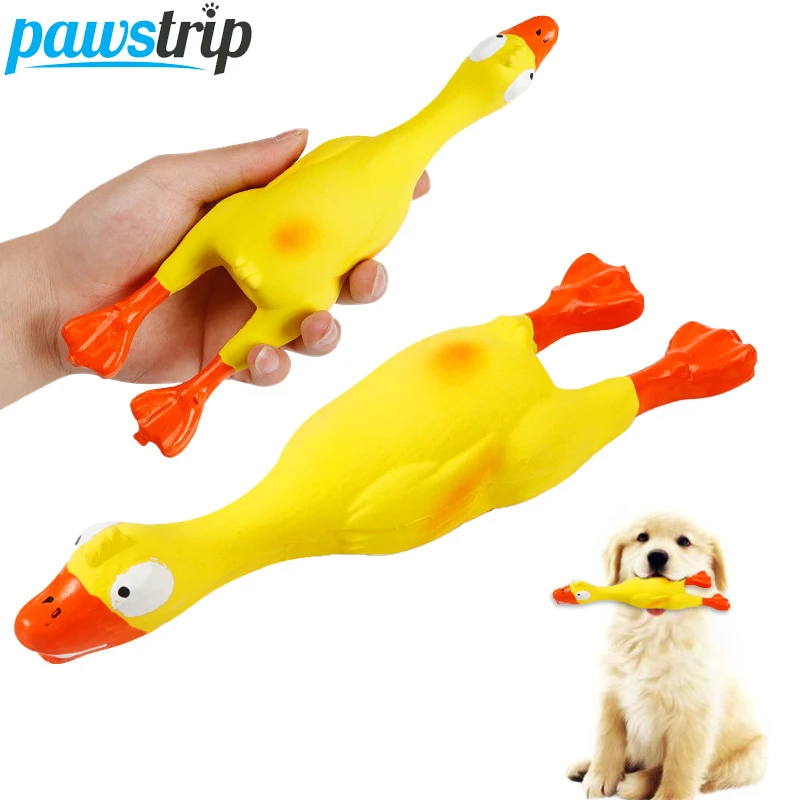 Zilver Baleinwalvis werknemer 24*6.5Cm Zachte Rubber Hond Speelgoed Piepende Screaming Eend Puppy  Speelgoed Interactieve Hond Geluid Speelgoed Voor Pitbull|Honden Speelgoed|  - AliExpress