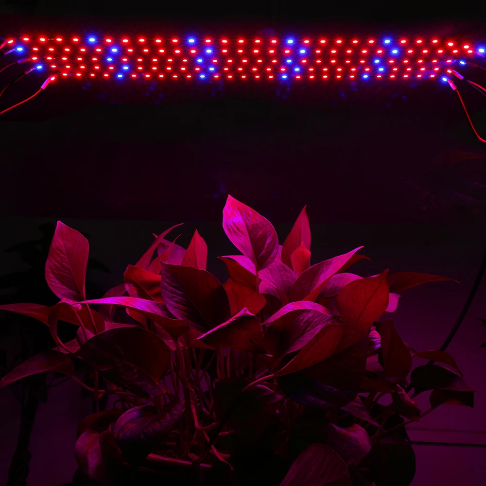5 м светодио дный LED фитолампы 30 светодио дный LED s завод свет полосы Fitolampa полный светодио дный спектр светодиодные полосы для цветок