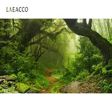 Laeacco тропический дождь лес зеленый мох трава портрет фото фоны Индивидуальные фотографии фонов для фотостудии