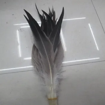 

10 pcs Rare Grey Heron Feathers 12-16 Inch / 30-40 cm Hat Costume Celebration Decoration