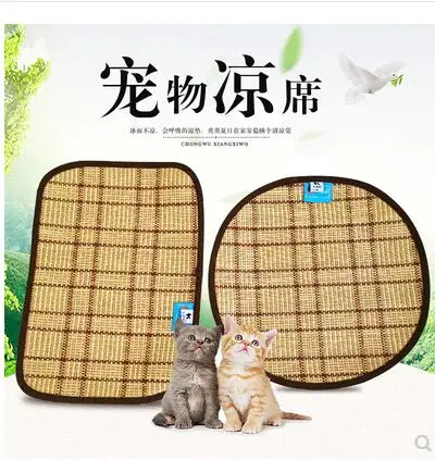 QQ20190419101903