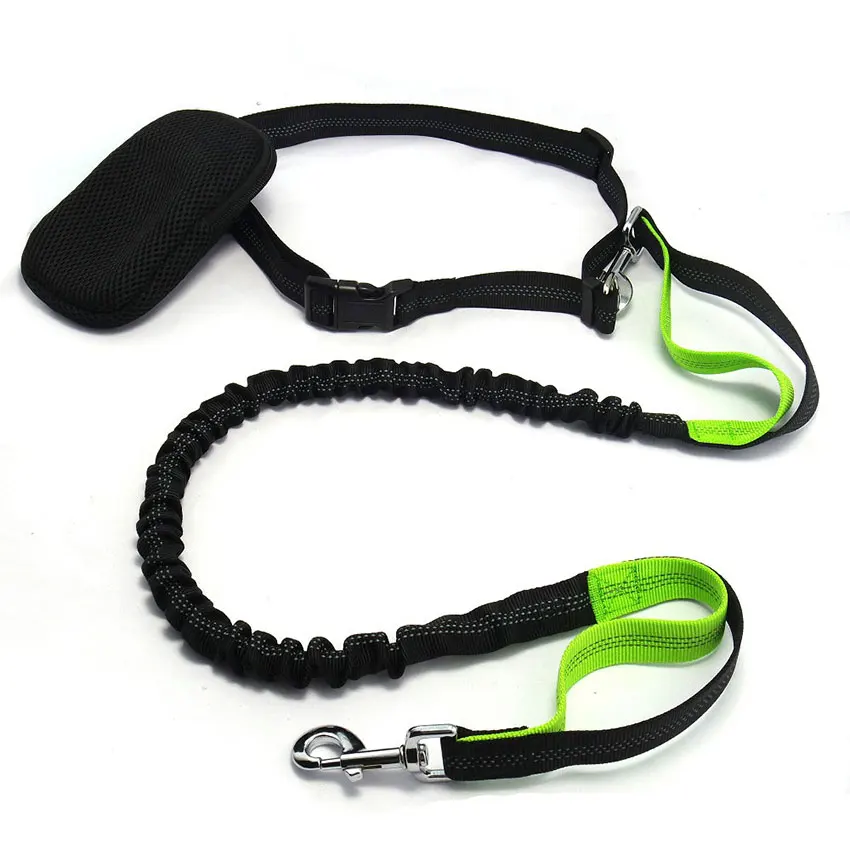 dog lead leash