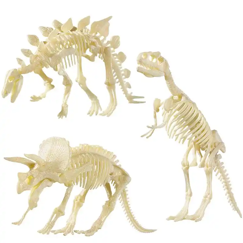 skeleton toys for kids