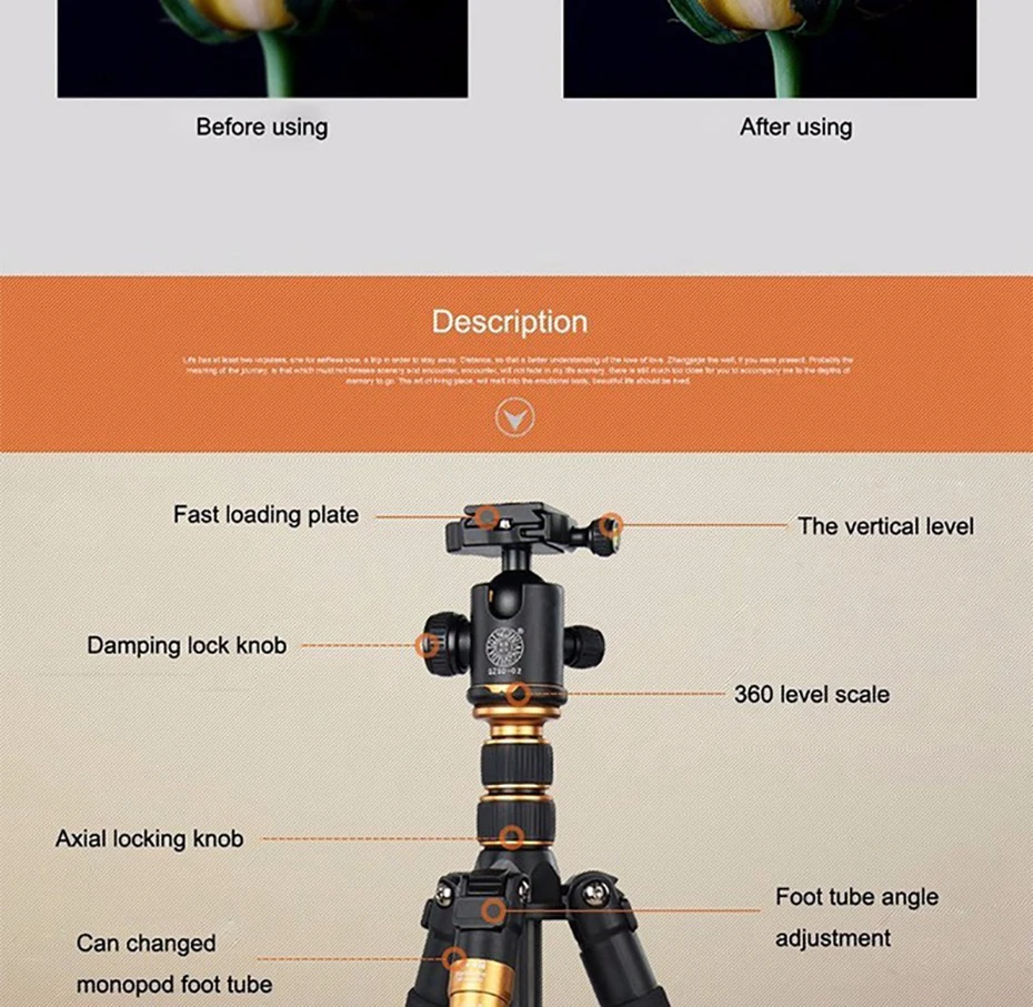 QZSD Q666C Carbon Fiber Professional Camera Tripod Video Monopod Extendable Trav