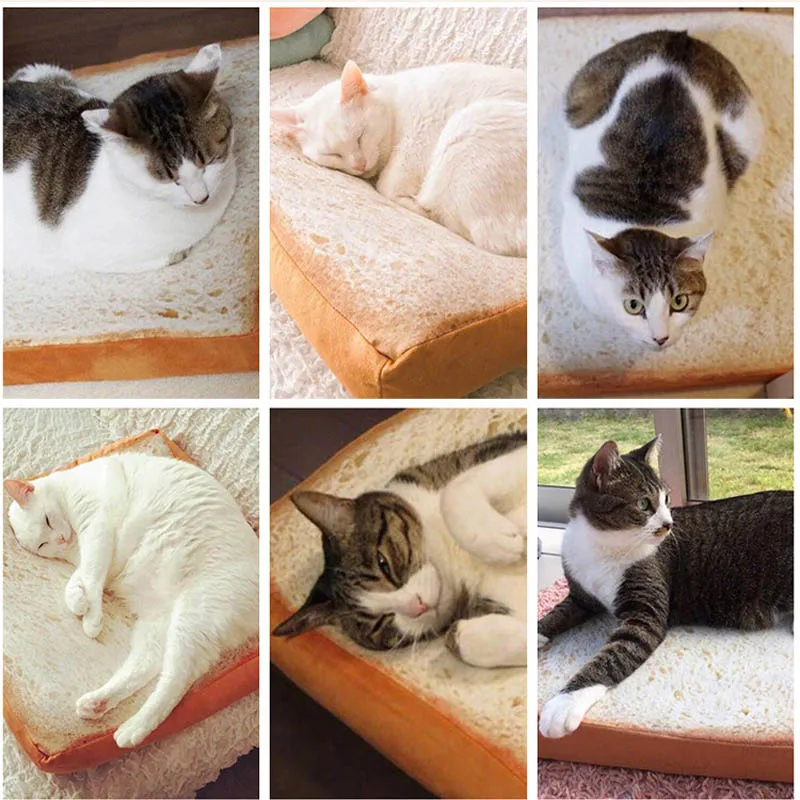 2018 new design bread toast cat bed mat soft fleece puppy cushion 2018 new design bread toast cat bed mat soft fleece puppy cushion detachable wash small dog bed for chihuahua 37 37 6 5cm in cat beds mats from home