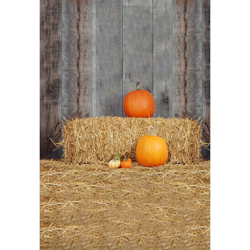 Halloween Vinyl photography background Computer printing pumpkin Photography backdrops for Photo studio HA 180