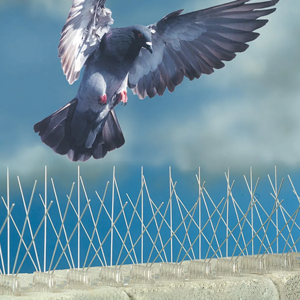 

Premium Model Stainless Steel Bird Spikes,Anti Pigeon Spikes Bird control kit Scare Seagull Pigeons Spikes