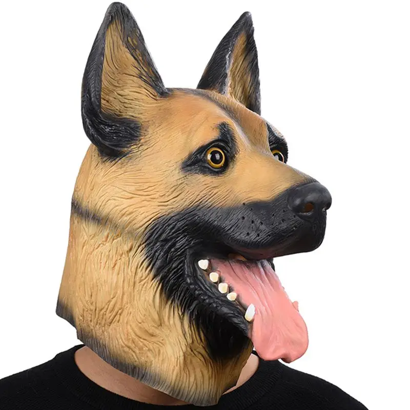 HTB1ZAT3SpXXXXahXFXXq6xXFXXX6