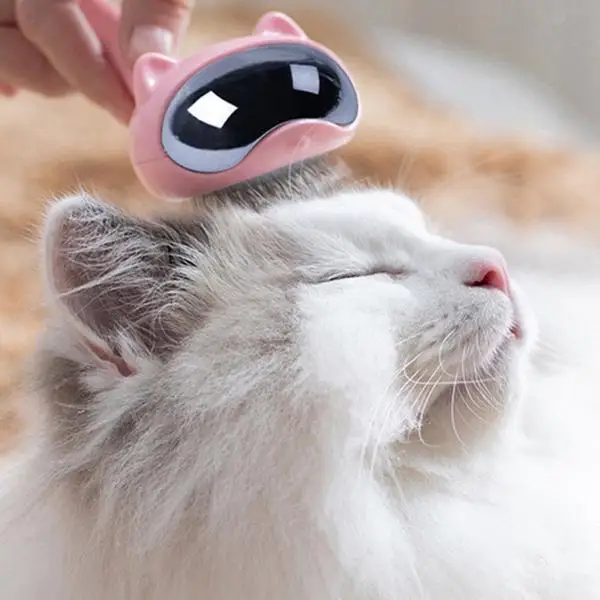 Космическая кошка расческа для животных кошка чистая красота удаление волос щетка для вычесывания животных Чистящая игла собака