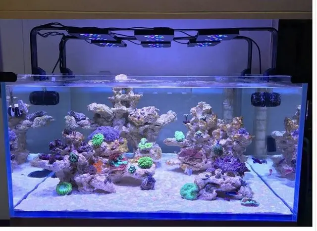 led reef aquarium lights