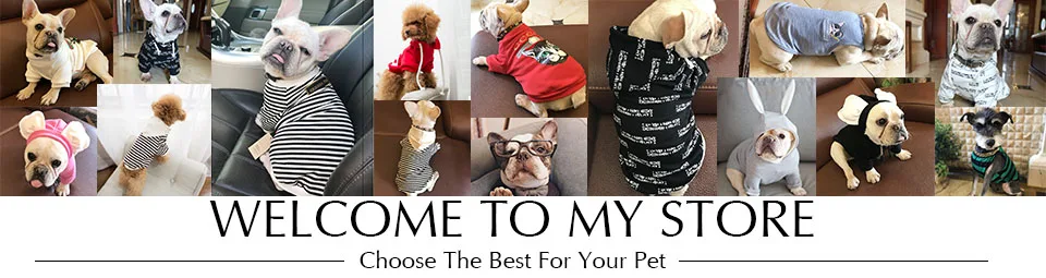Жилет для собак с принтом животных из мультфильма дизайнерская летняя футболка для собак Одежда для домашних животных эластичная одежда для маленьких и средних собак для маленьких собак
