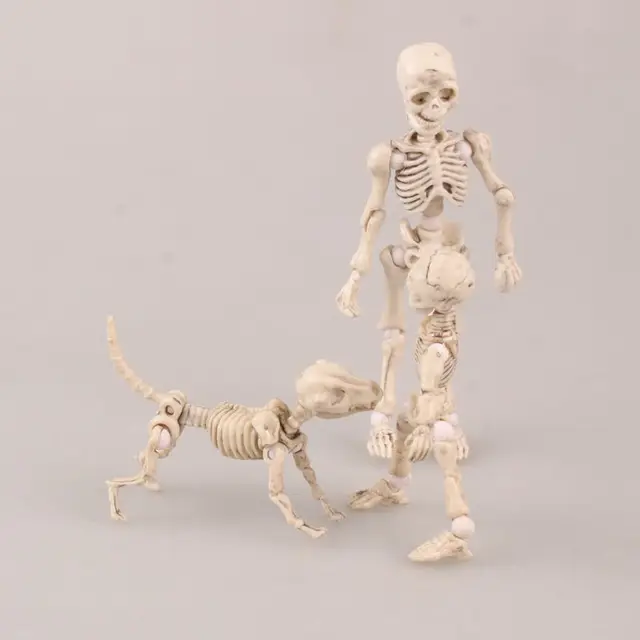 Pale Orange aliexpress : buy skull body chan pale orange color 8cm figma Pale Orange aliexpress : buy skull body chan pale orange color 8cm figma