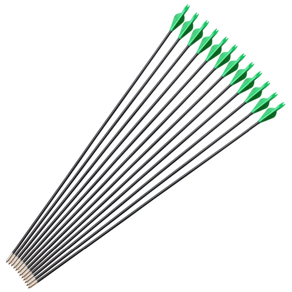 

6/12 pcs Fiberglass Arrows Darts 31 Inch Spine 700 Archery Hunting Arrows for Compound Bow / Recurve Bow