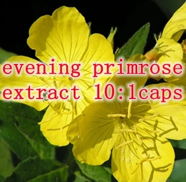 

1 Pack Organic evening primrose extract 10:1caps 500mg x 300pcs caps free shipping