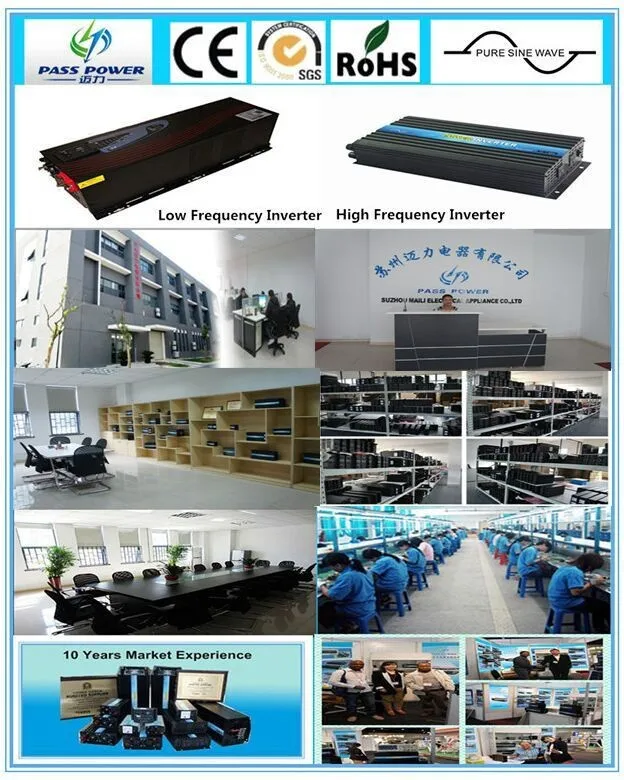 Our Company