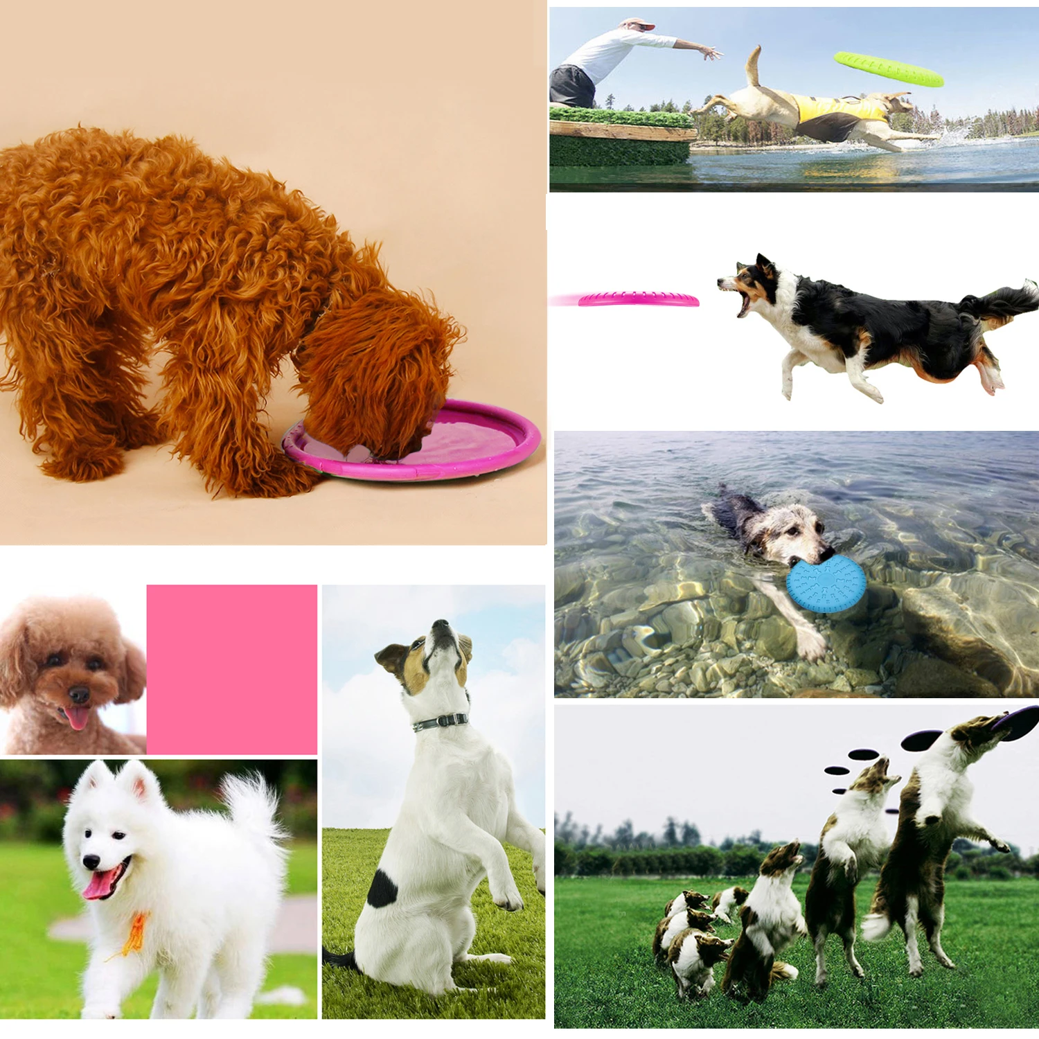 Legendog 2 قطع 9 ''لينة سيليكون القرص الطائر لعبة الكلب لعبة للحيوانات الاليفة التدريب مضغ حار صديقة pet المنتج يطير القرص التدريب Legendog 2 قطع 9 ''لينة سيليكون القرص الطائر لعبة الكلب لعبة للحيوانات الاليفة التدريب مضغ حار صديقة pet المنتج يطير القرص التدريب