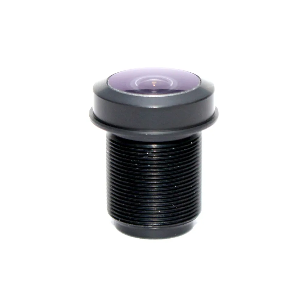 IMG_2019