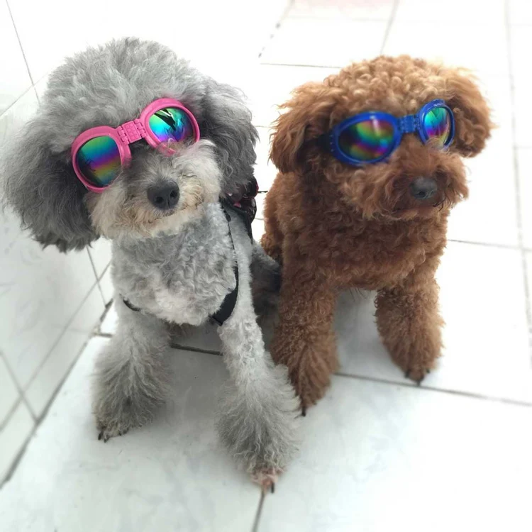 petsunglassesdogcatsunfoldingglasseswindrainglassdogfunnyglasses6colors.jpg