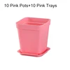 Pink Pots and Trays