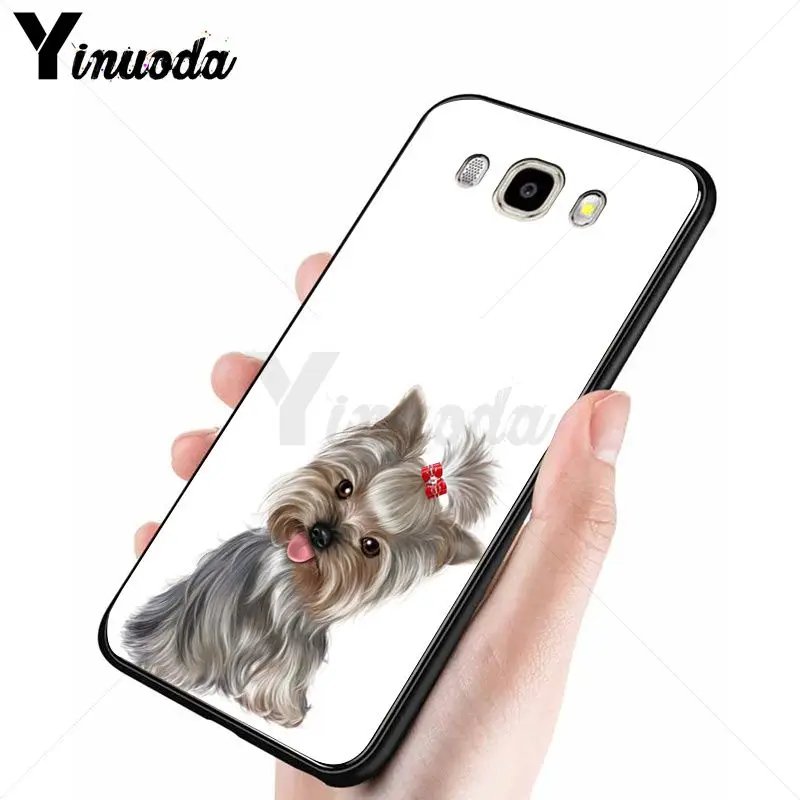 yorkshire terrier dog puppy 