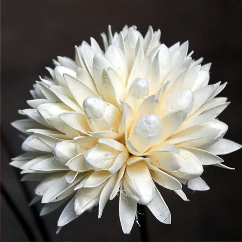 Натуральный высушенный цветок магнолии, маленький искусственный цветок, домашний обеденный декор, искусственный высушенный цветок - Цвет: 1 pc dried flower