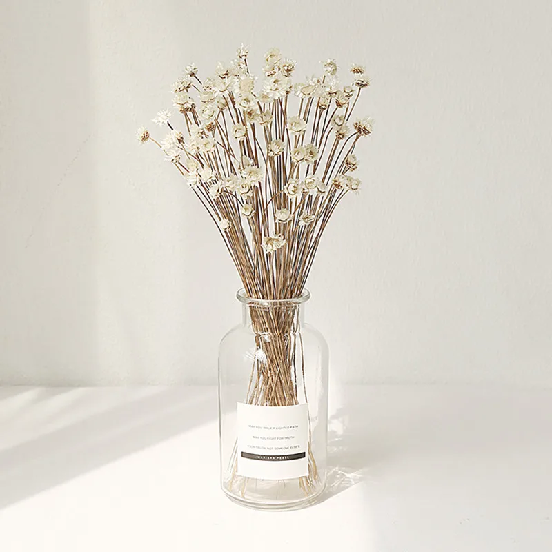 Online Whole White Dried Flowers From China 50pcs Lot Natural Dried Flowers Fresh White Star Beautiful Home Coffee Decorative