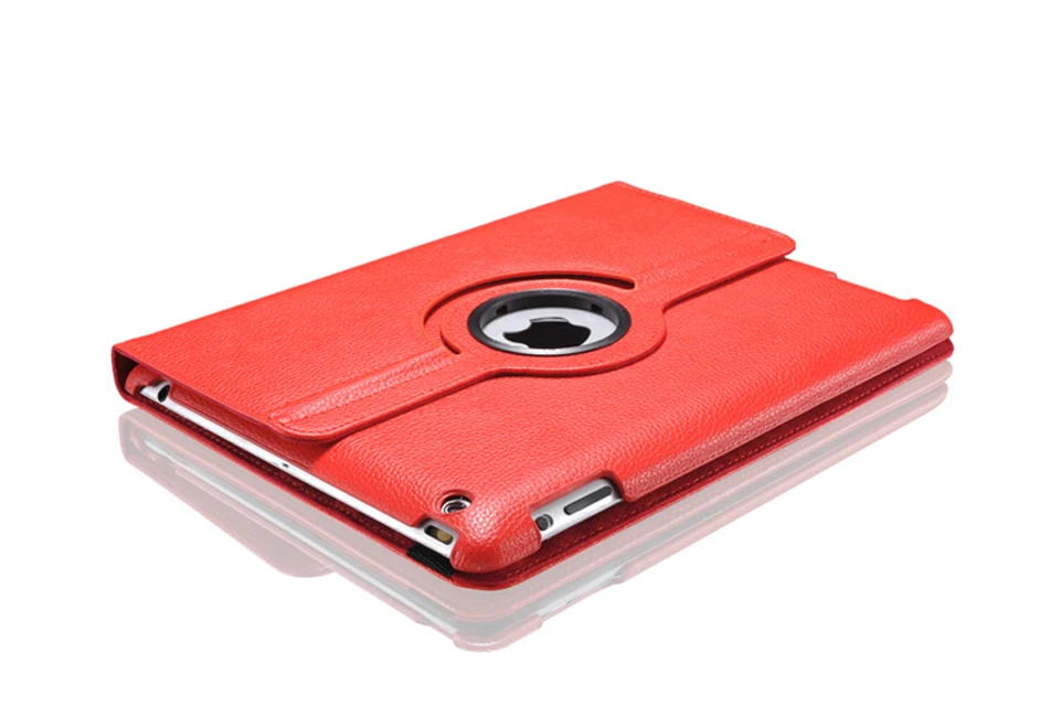 iPad Case (19)