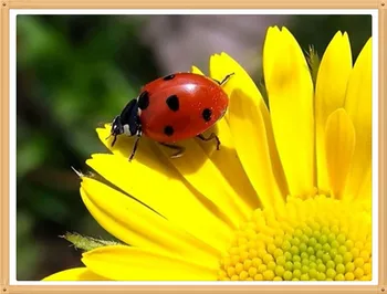 

Sunflower The Beetle 40x30cm diy pieno diamante Flowers pittura punto croce kit Crafts decorazione della casa diamond painting