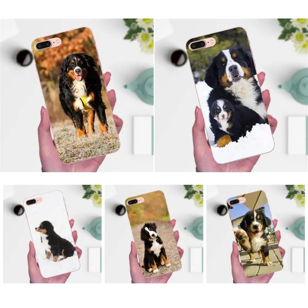 

Soft TPU Cases Berner Sennen Dog Bernese Mountain For Galaxy J1 J2 J3 J330 J4 J5 J6 J7 J730 J8 2015 2016 2017 2018 mini Pro