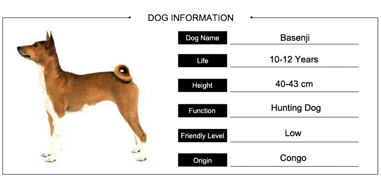 Темперамент