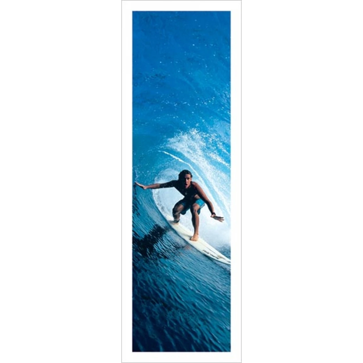 Riding The Tube Surfer Laminated Poster (24 X 36)