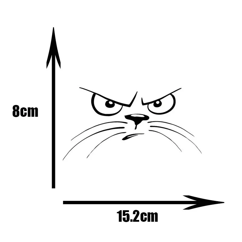 6067