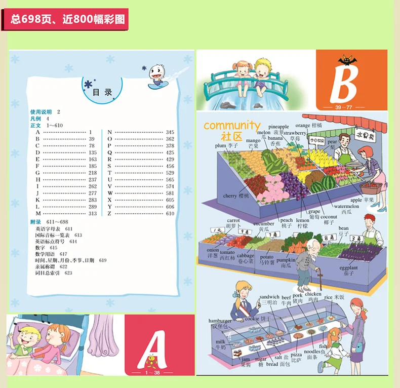 chinese book