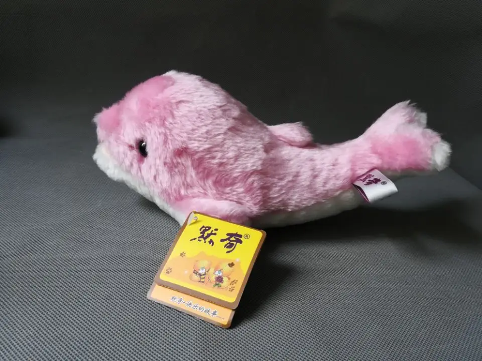 20