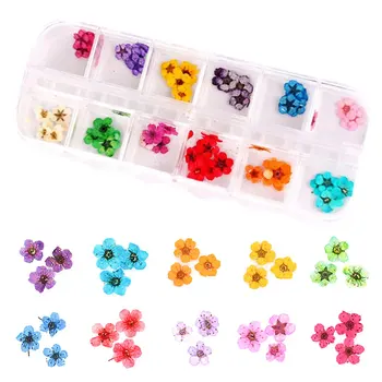 

12 Colors DIY Nail Art Mixed Dried Flowers With Bottle 3D Dry Flower Decoration Nails Stickers Manicure Tips 669