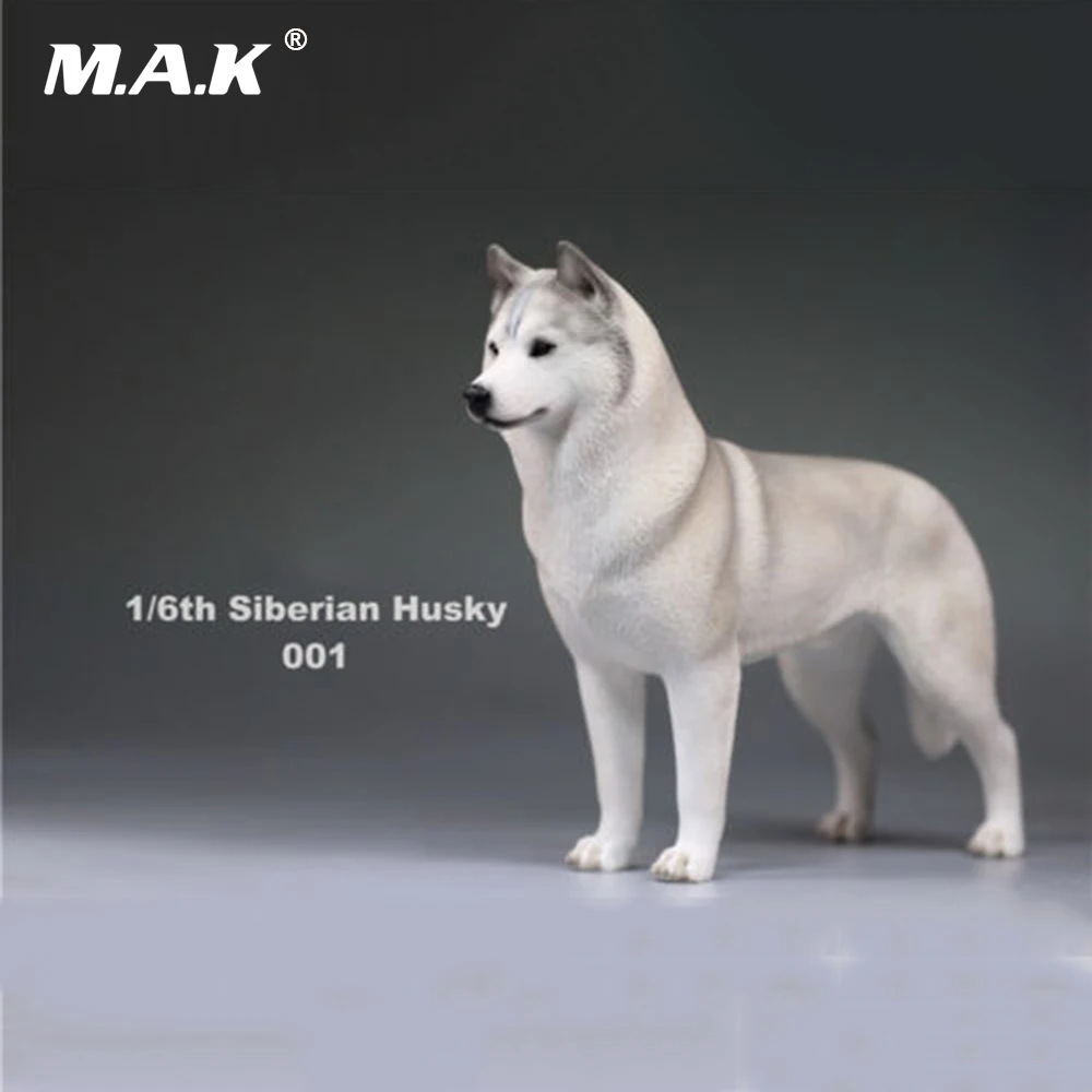 1/6(1") аксессуар для фигурки 1:6 Siberian Husky Simulation animals XVI 001 собачьи игрушки модели