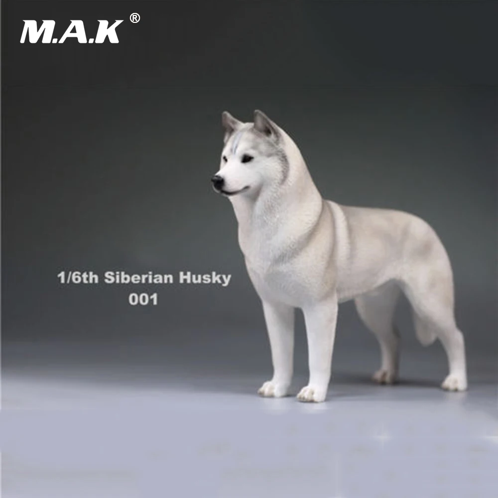 Экшн фигурка 1/6(12 дюймов) аксессуар 1:6 Сибирский хаски Имитация животных