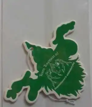 

Free Shipping Via Fedex or DHL , Customized funny car air freshener any logo