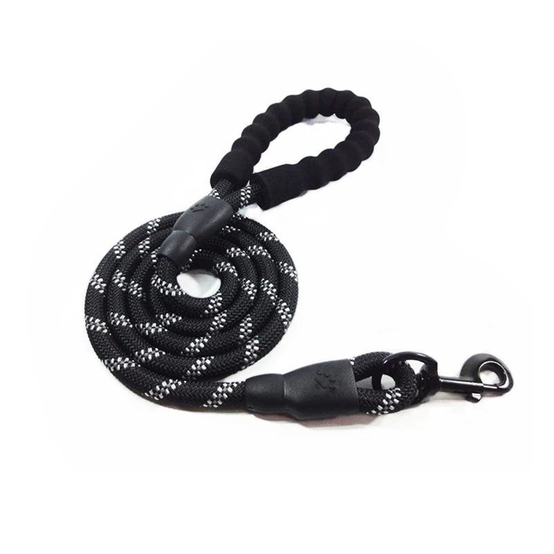 02 dog accessories 