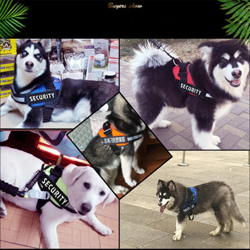 Collars-015-35