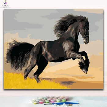 

A running black horse in the prairie pictures paintings colorings drawing paints colors by numbers with package for hoom decor