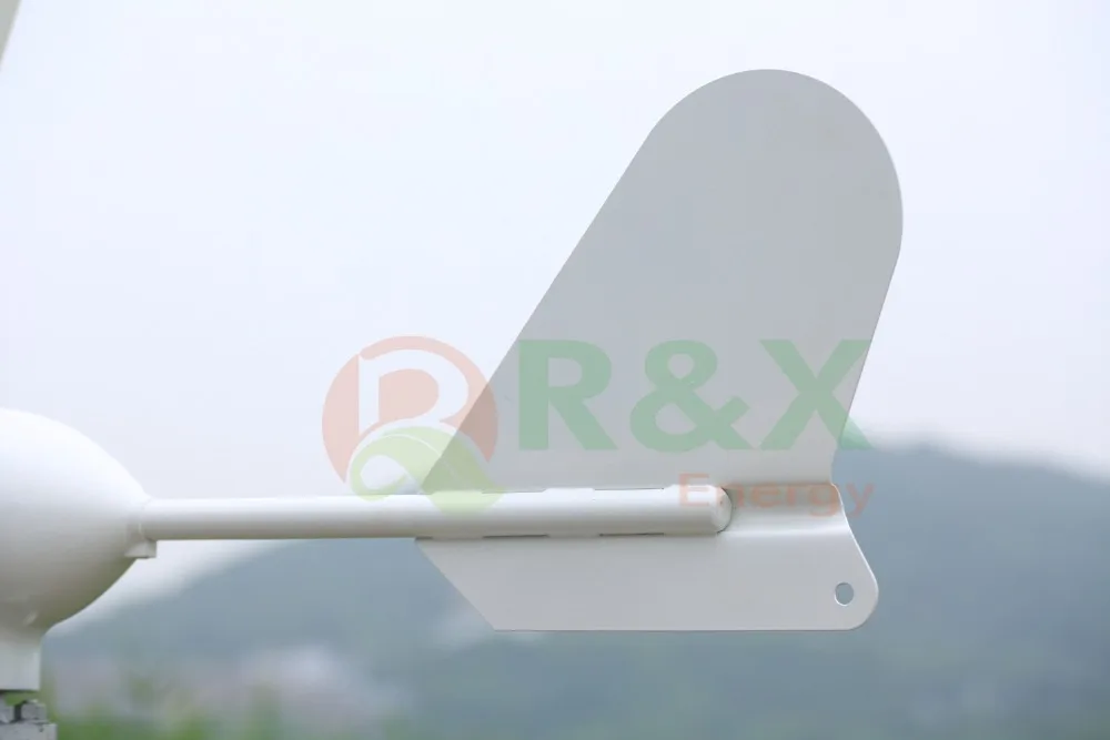 SW3B7566(1)_