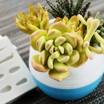 

Yueyue Sugarcraft Succulent plant silicone mold fondant mold cake decorating tools chocolate gumpaste mold
