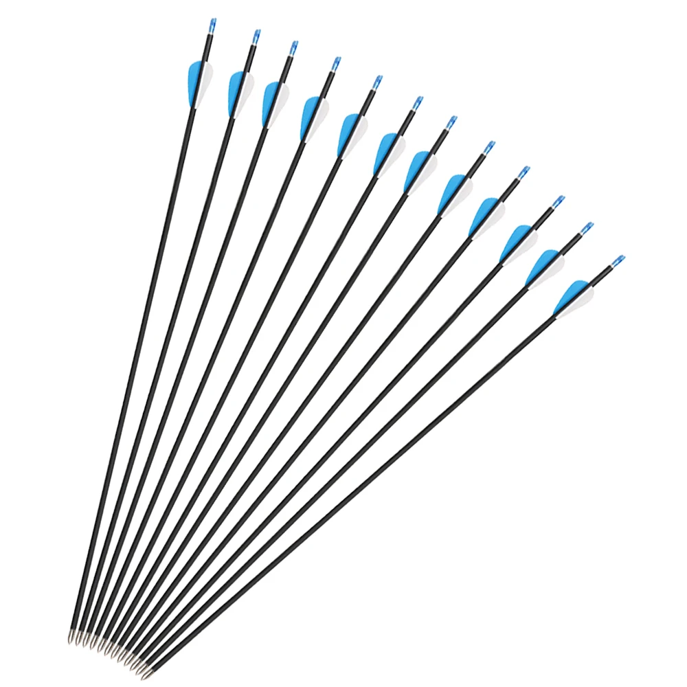 

6pcs 80cm OD 6mm Carbon Arrows Spine 750 Archery Recurve Compound Bow 2 blue 1 white hunting door new