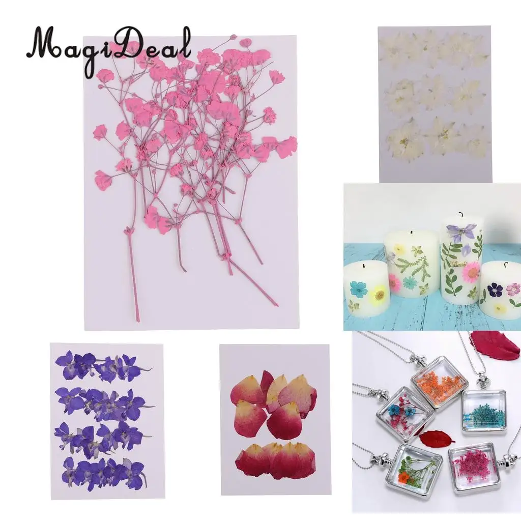 10 / 20Pcs Beautiful Real Pressed Rose Petal Babysbreath Flowers Dried Flowers for Art Craft Scrapbooking DIY Resin Jewelry